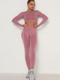 Seamless activewear set featuring a crop top and high-waisted leggings in a stylish pink color.