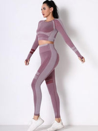 Seamless long sleeve yoga set featuring a fitted crop top and high-waisted leggings in stylish pink hues.