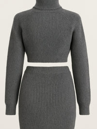 Knit Mock Neck Top And Skirt Set in gray with ribbed texture and fitted silhouette, showcasing long sleeves and mini skirt.
