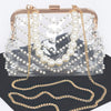 Stone Studded Transparent Clutch
