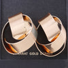 Delicate Shiny Curved Earrings
