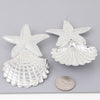 Clam N Starfish Earrings