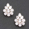 Rhinestone Earring