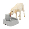 PetSafe 2 Gallon Automatic Water Fountain for Cats, Dogs - With Pump, Filter, Dishwasher Safe