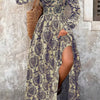 Printed V-Neck Long Sleeve Maxi Dress