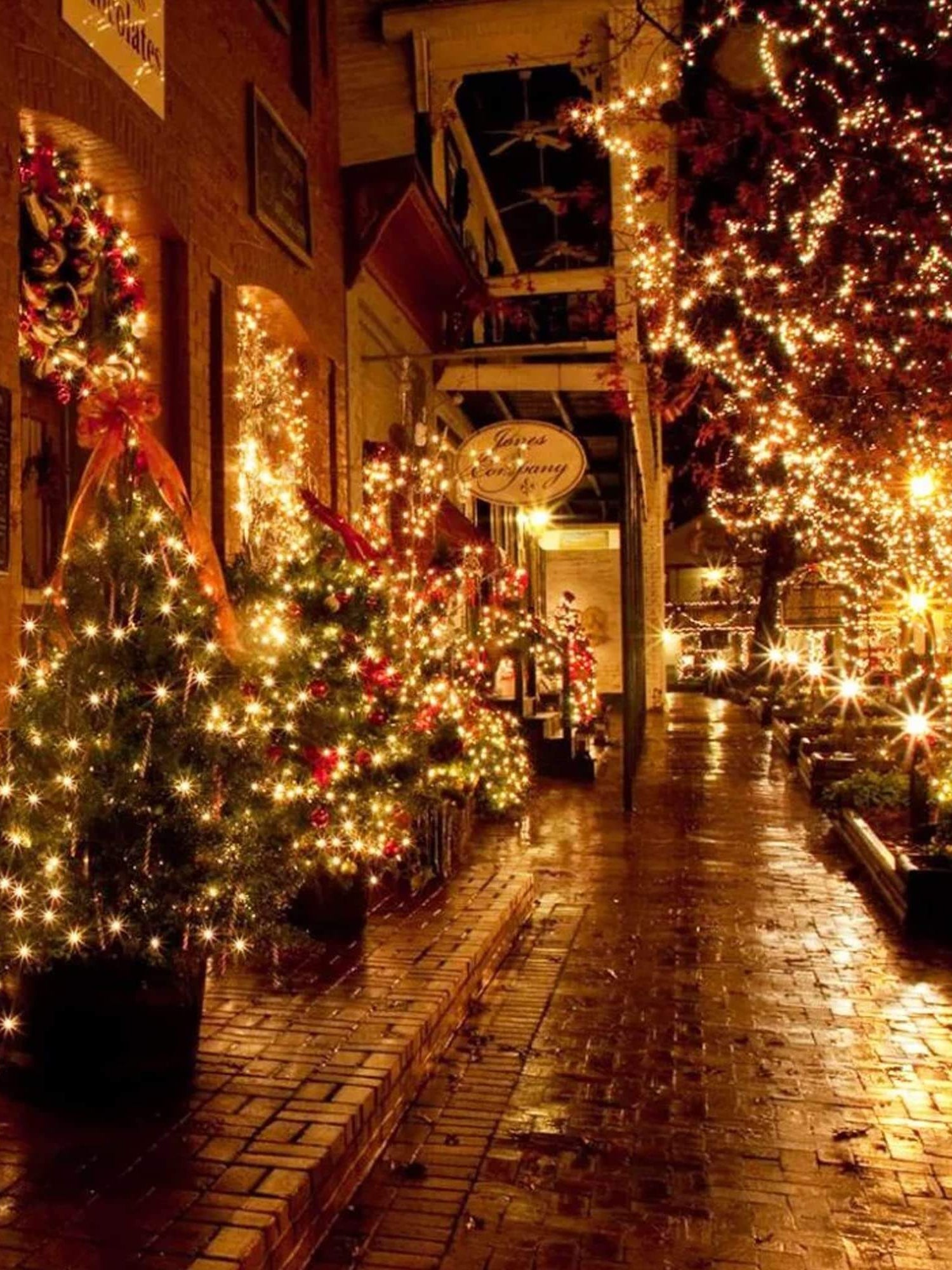 beautifully decorated street with Christmas trees and lights creating a festive atmosphere at night.