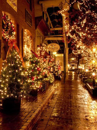 beautifully decorated street with Christmas trees and lights creating a festive atmosphere at night.