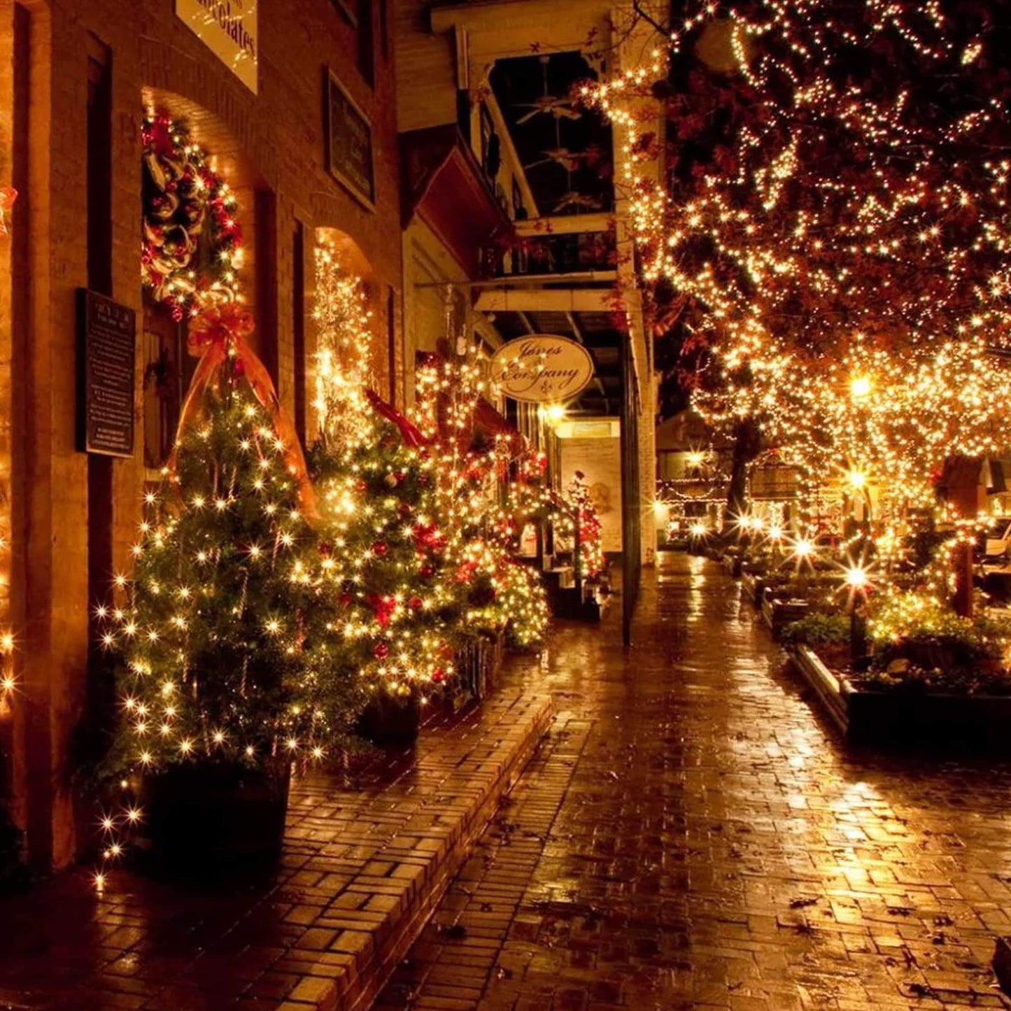 beautifully decorated street with Christmas trees and lights creating a festive atmosphere at night.