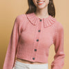 Short collard sweater