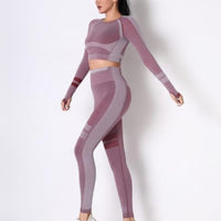 Seamless long sleeve yoga set featuring a fitted crop top and high-waisted leggings in stylish pink hues.