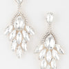 Rhinestone Teardrop Flare Earrings