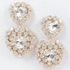 Heart Shape Stone Earring