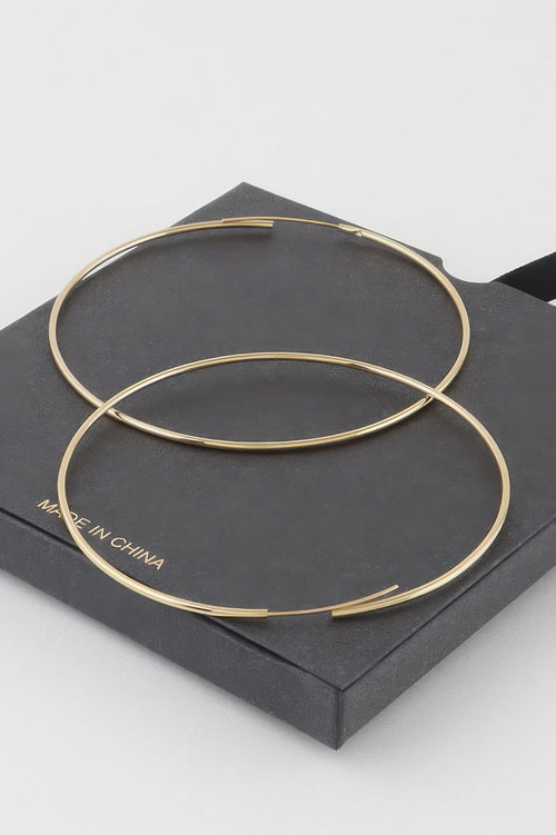 Shiny Delicate Hoop Earrings