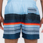 Blue Stripes Swim Shorts