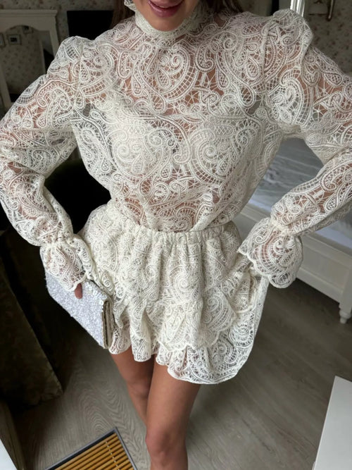 Lace Long Sleeve Top and Skirt Set