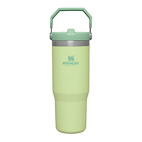 Stanley IceFlow Stainless Steel Tumbler with Straw - Vacuum Insulated Water Bottle for Home, Office or Car - Reusable Cup, Leakproof Flip -Cold for 12 Hours or Iced for 2 Days (Citron), 30oz